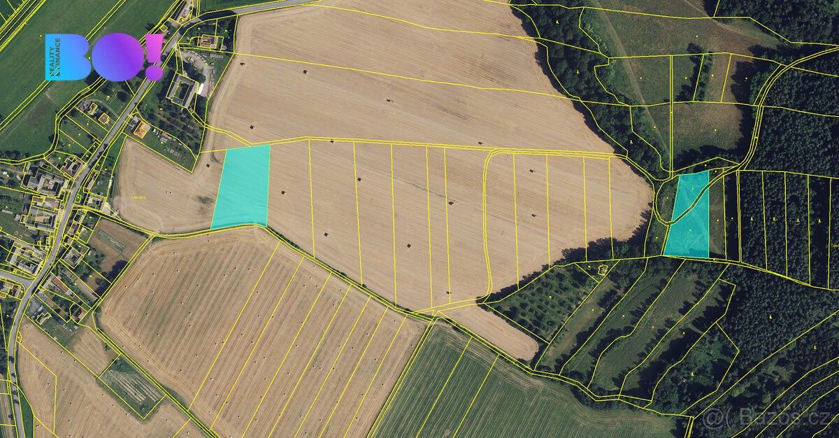 Prodej zemědělský pozemek - Moravská Třebová, 571 01, 13 591 m²