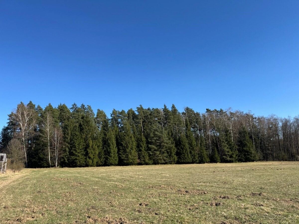 Prodej les - Tučapy u Soběslavě, 391 26, 1 838 m²
