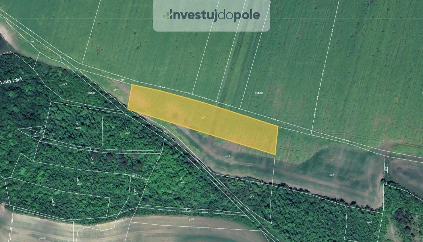 Zemědělské pozemky, Třtěno, Chožov, 5 755 m²