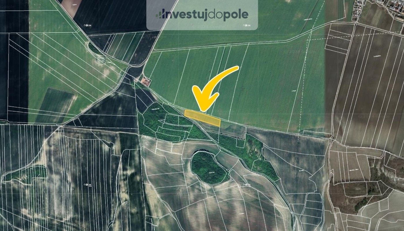 Prodej zemědělský pozemek - Třtěno, Chožov, 5 755 m²