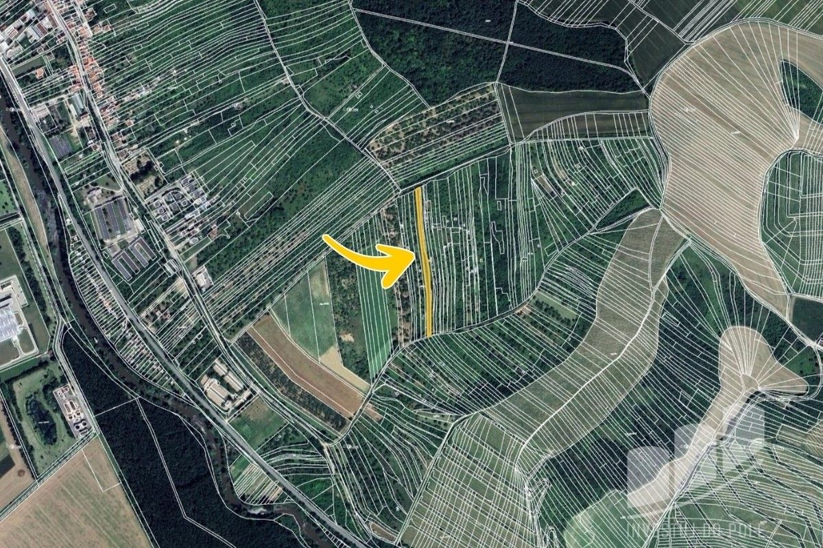 Prodej zemědělský pozemek - Masarykova, Židlochovice, 2 546 m²
