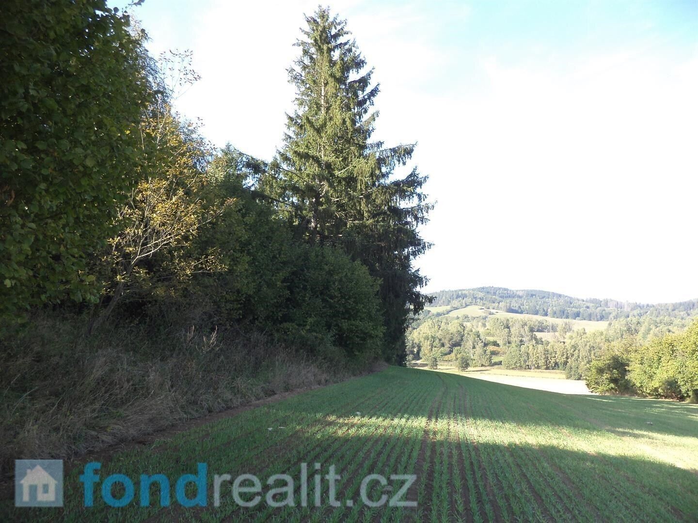 Prodej pozemek - Kolinec, 2 385 m²