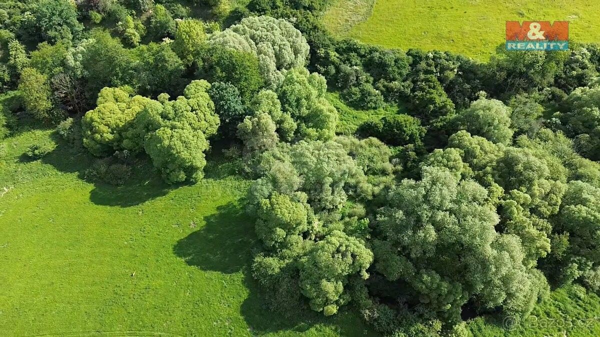 Prodej zemědělský pozemek - Spálené Poříčí, 335 61, 13 461 m²