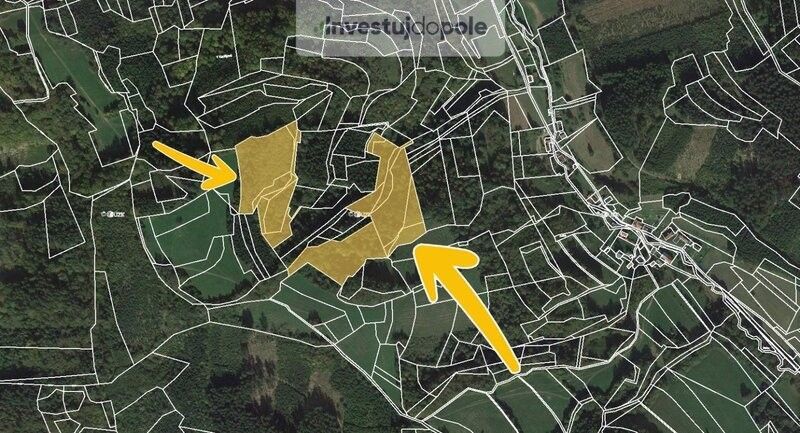 Prodej les - Hovězí, 756 01, 32 951 m²