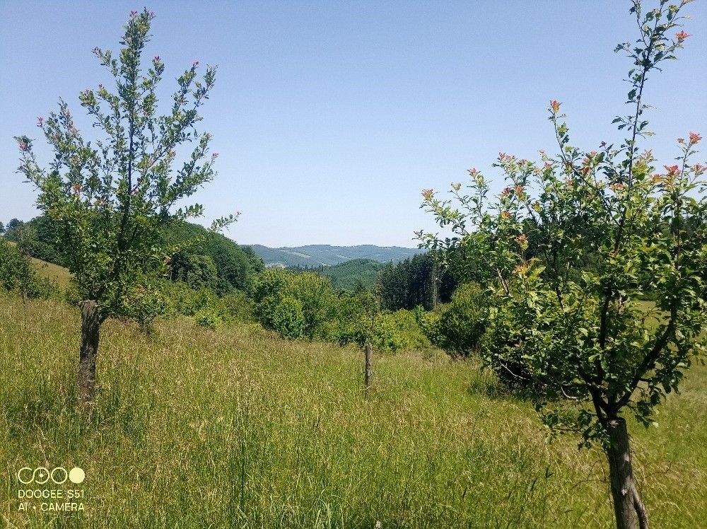 Lesy, Vsetín, 755 01, 25 335 m²