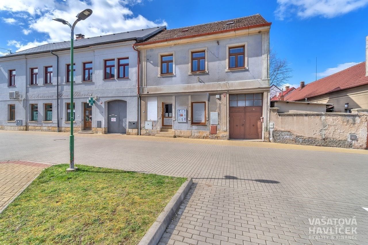 Ostatní, Jungmannova, Chlumec nad Cidlinou, 166 m²