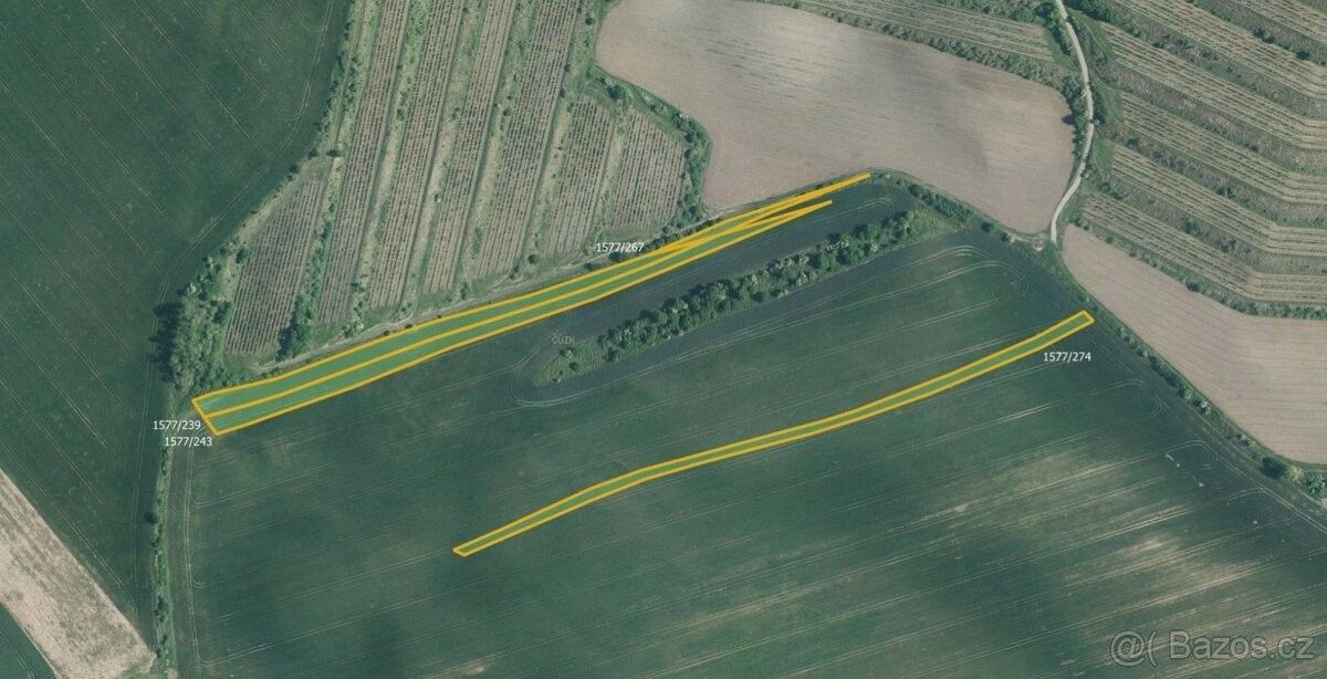 Prodej zemědělský pozemek - Nosislav, 691 64
