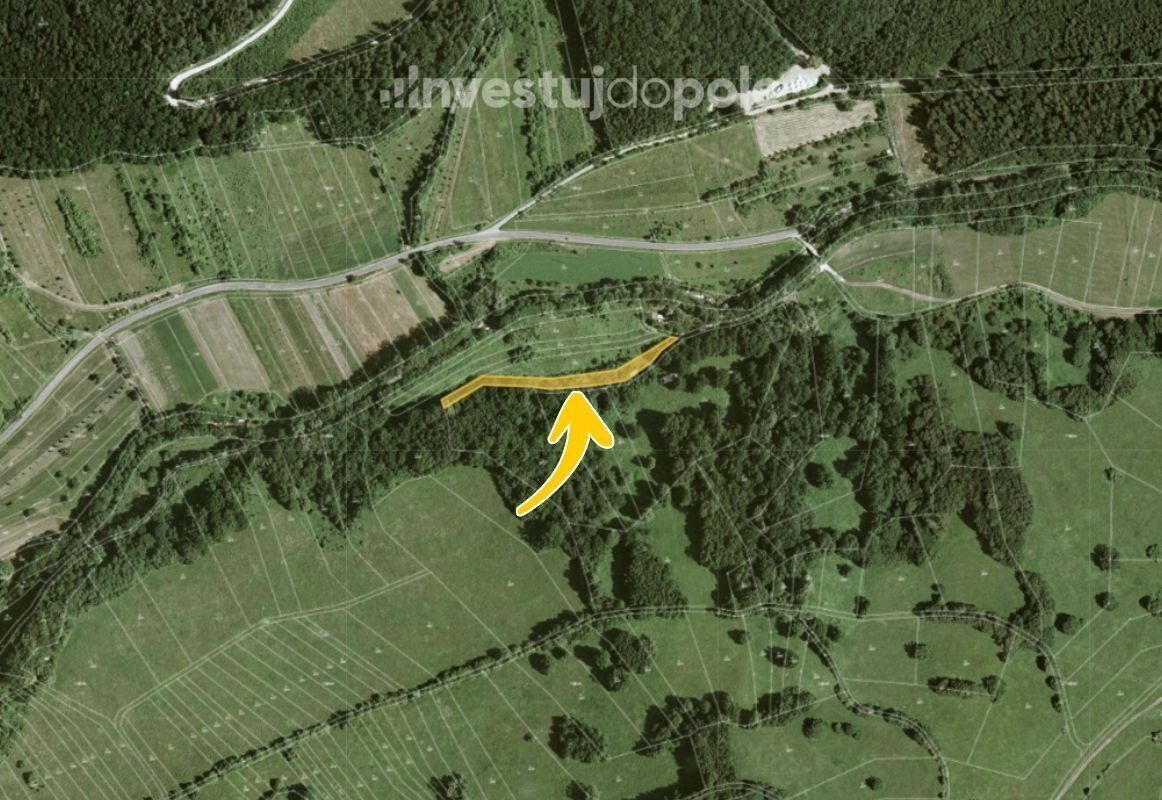 Prodej louka - Javorník, 1 595 m²