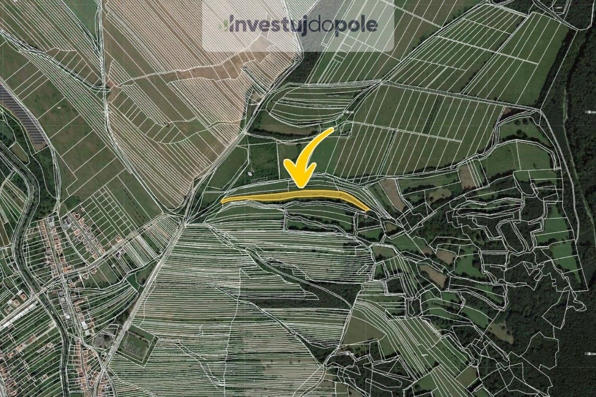 Prodej louka - Velká nad Veličkou, 1 144 m²