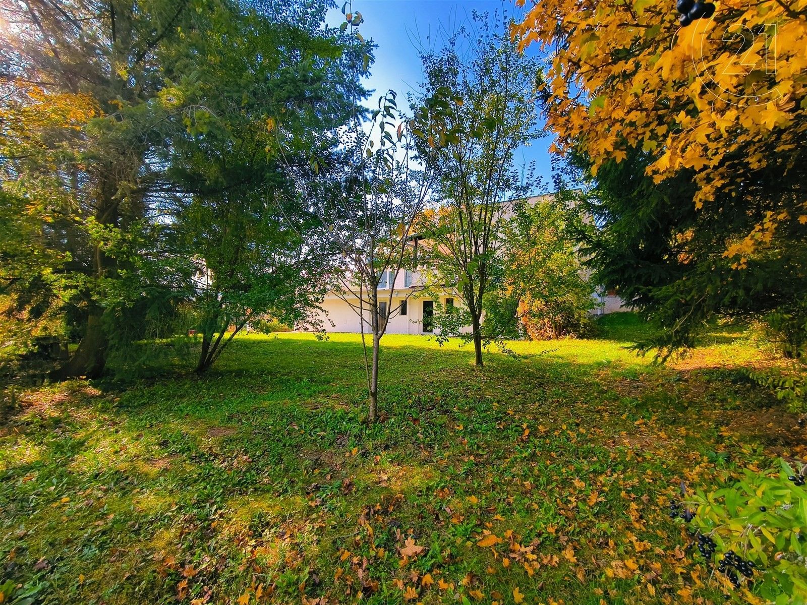 Ostatní, Vranov nad Dyjí, 340 m²
