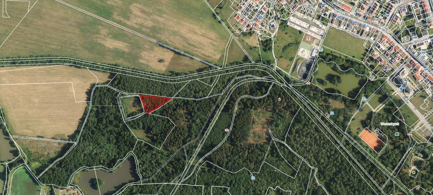 Lesy, Jezerní, Františkovy Lázně, 2 956 m²