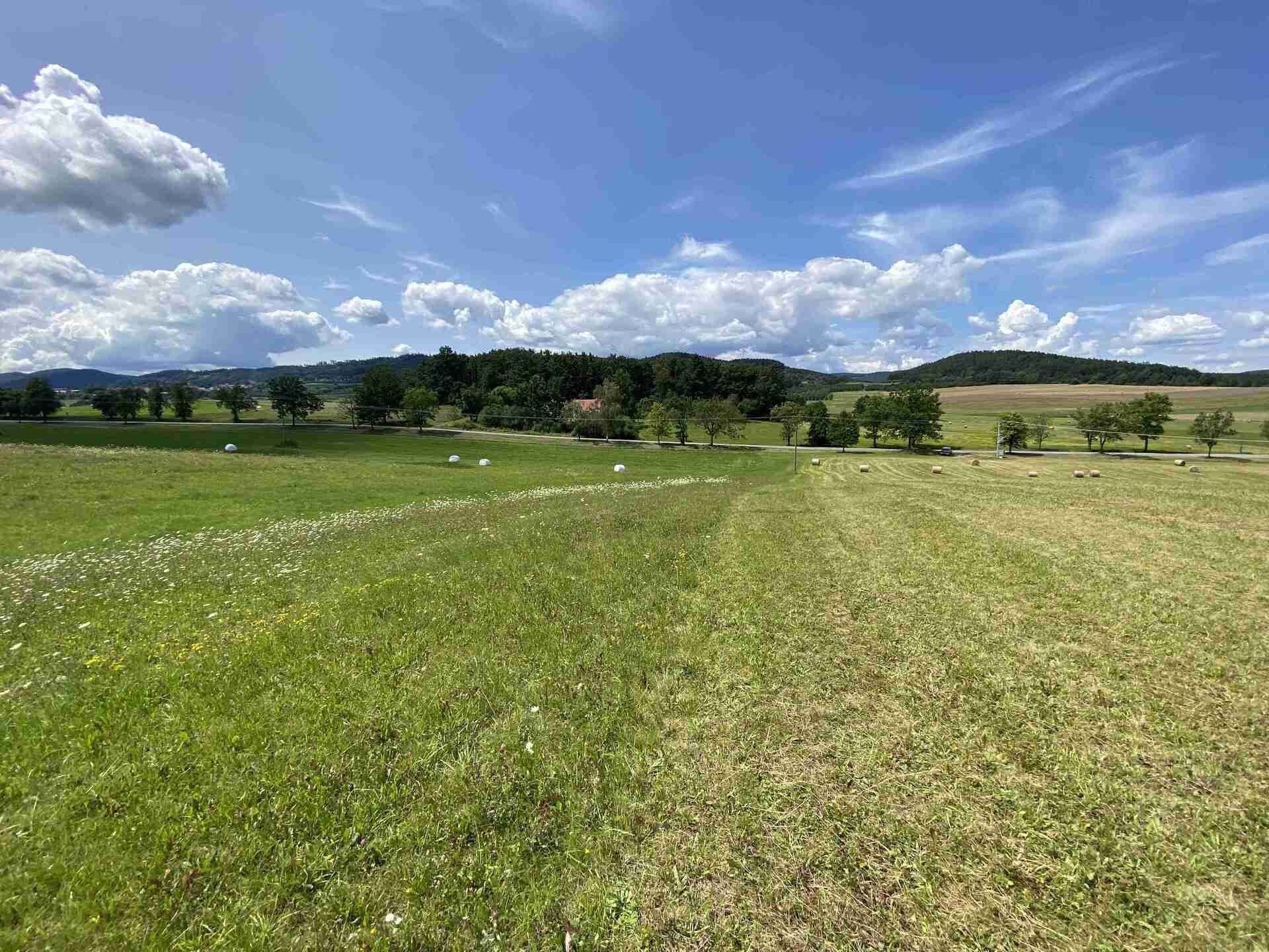Zemědělské pozemky, Hrbov, Lhenice, 55 481 m²