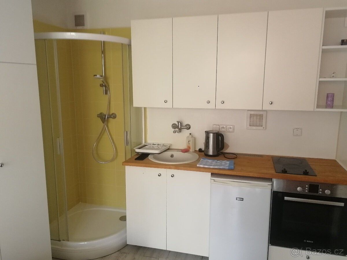 1+kk, Brno, 613 00, 17 m²