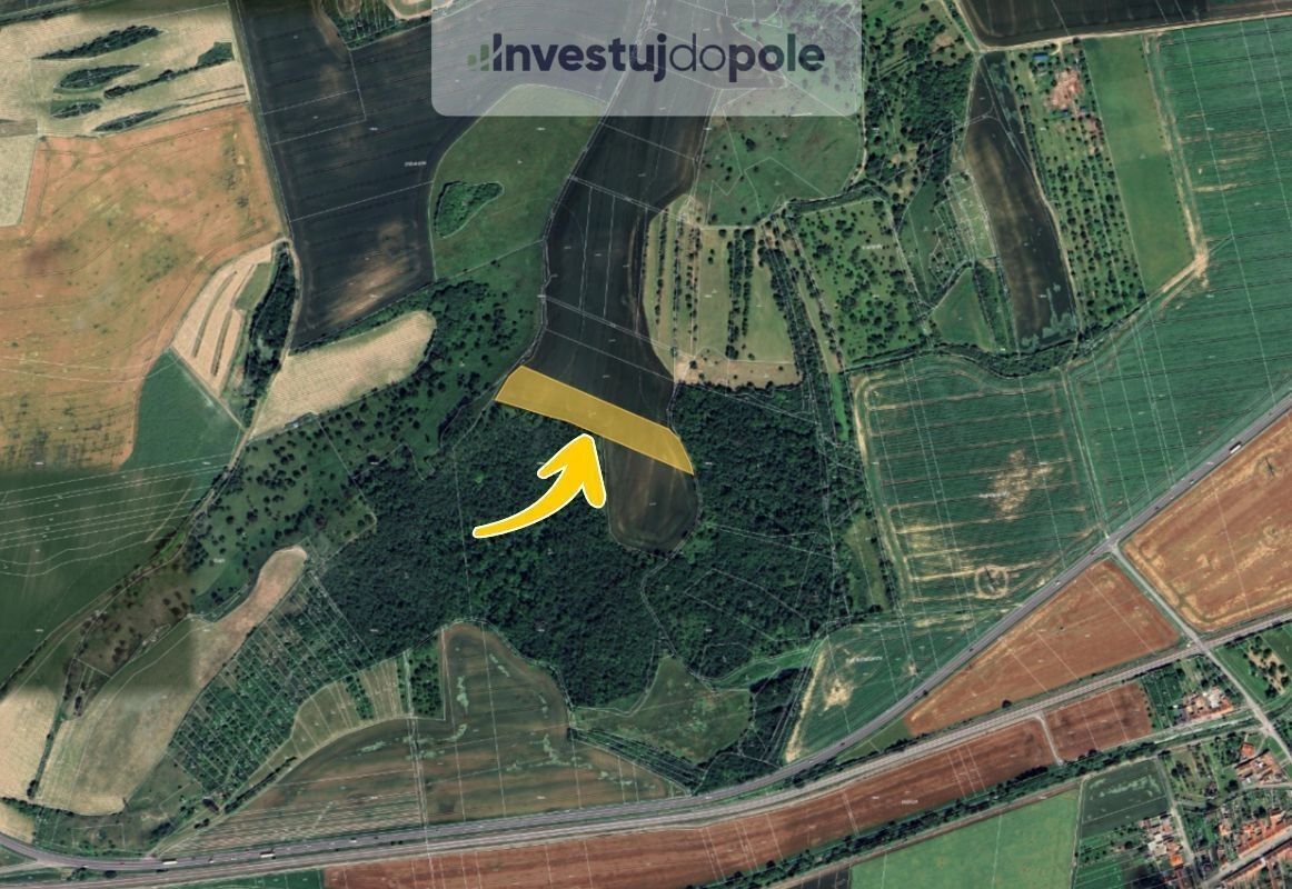 Prodej zemědělský pozemek - Marefy, Bučovice, 4 647 m²