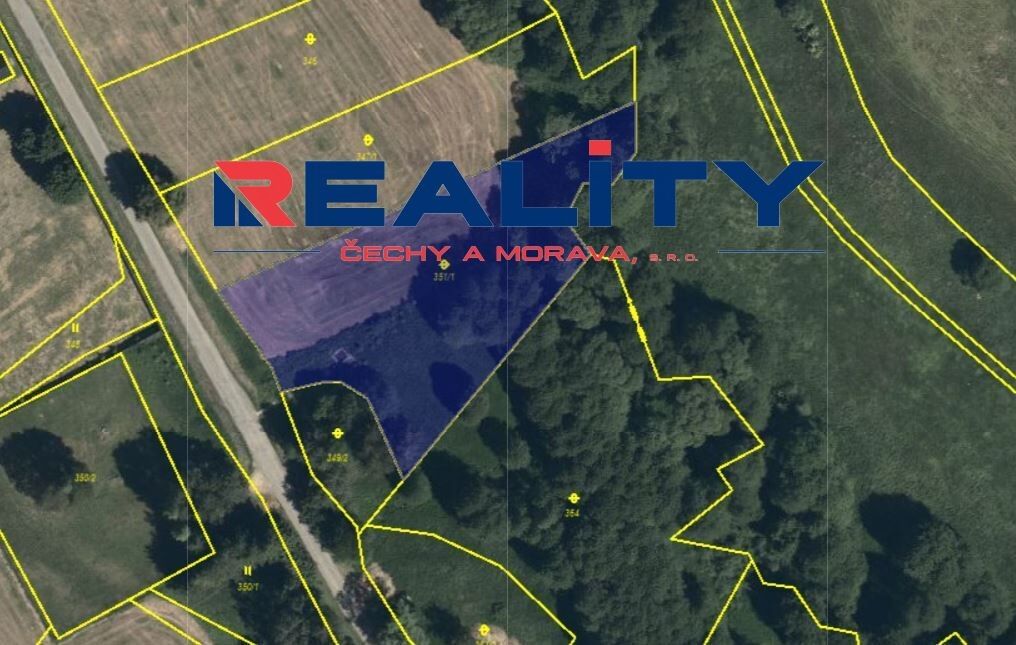 Prodej pozemek - Borušov, 7 824 m²