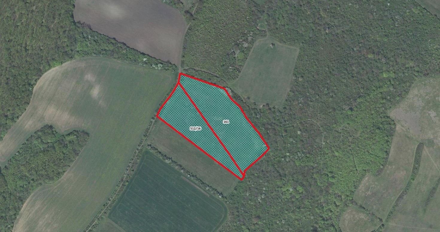 Zemědělské pozemky, Jenčice, 15 000 m²