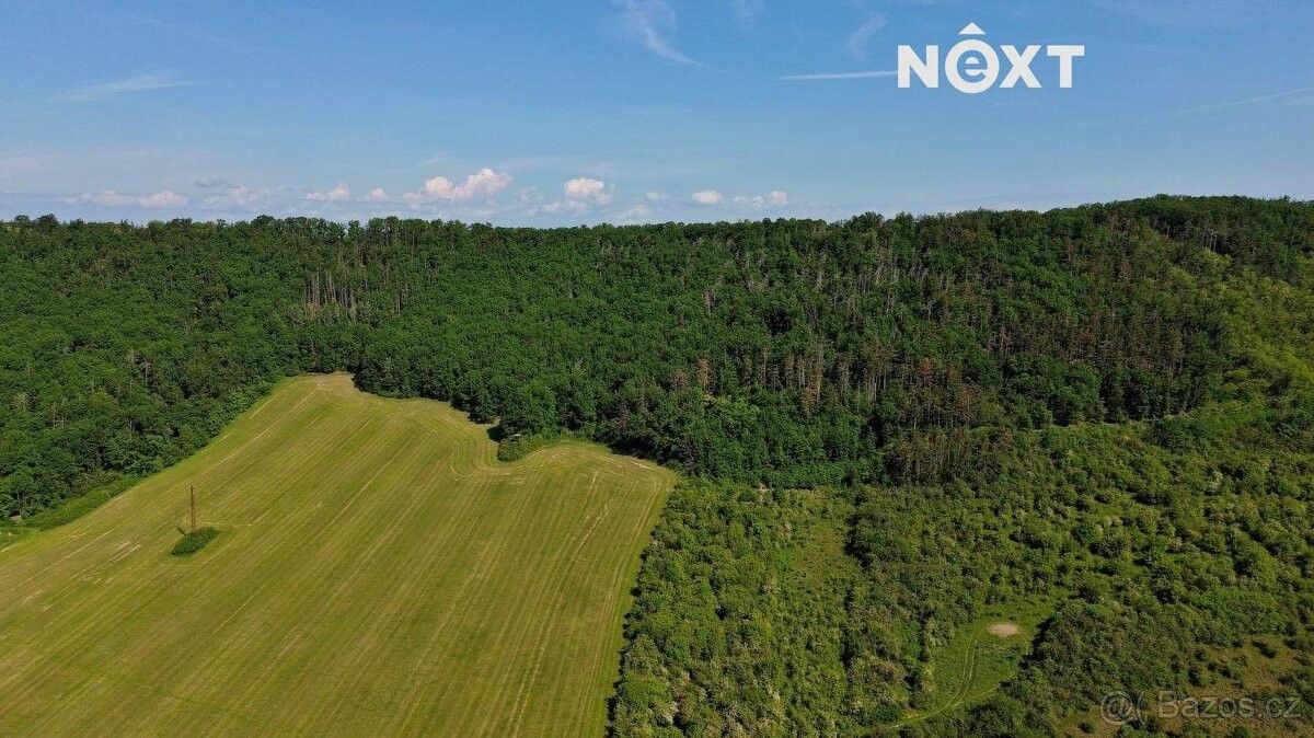 Prodej les - Vráž u Berouna, 267 11, 3 149 m²