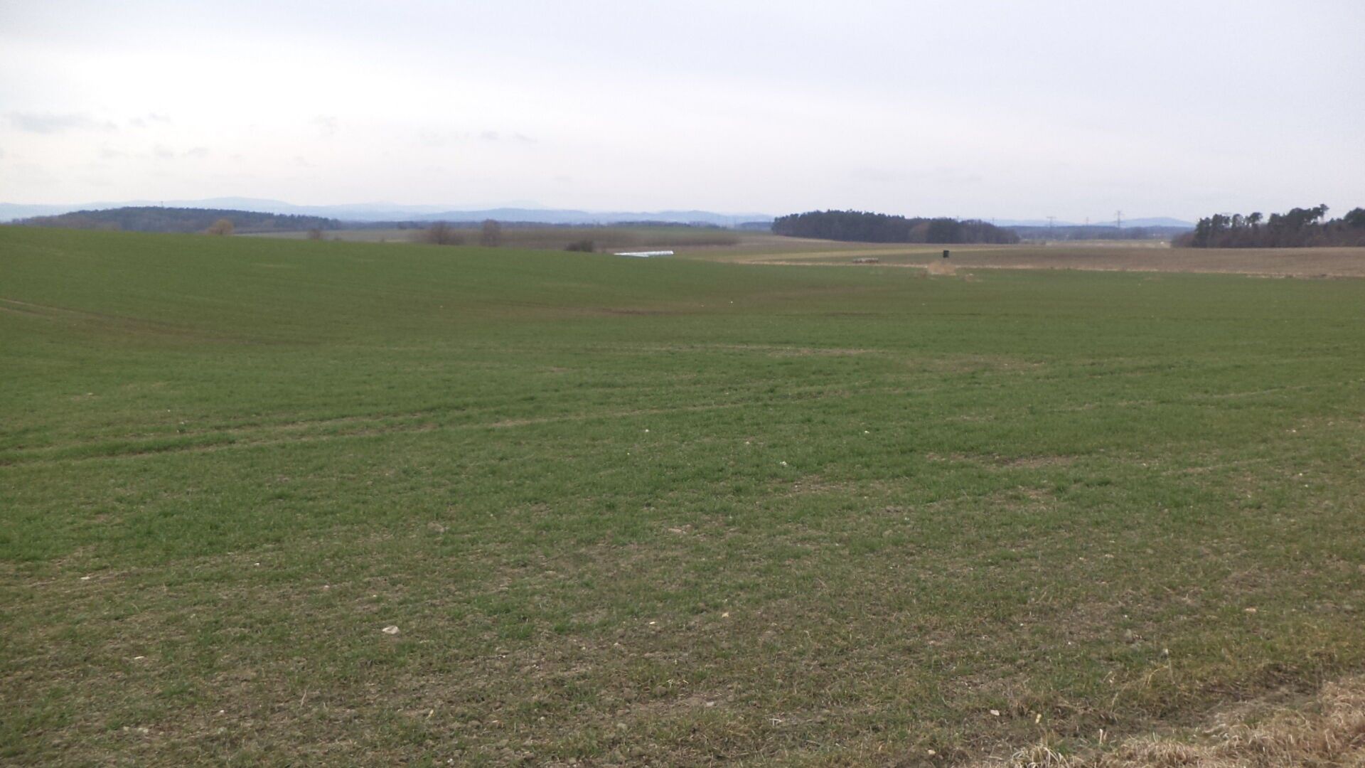 Zemědělské pozemky, Dříteň, 2 330 m²