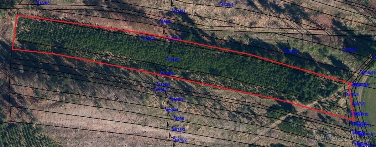 Lesy, Těmice u Kamenice nad Lipou, 394 96, 7 562 m²