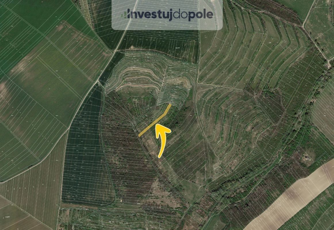 Prodej zemědělský pozemek - Hustopeče, 1 770 m²