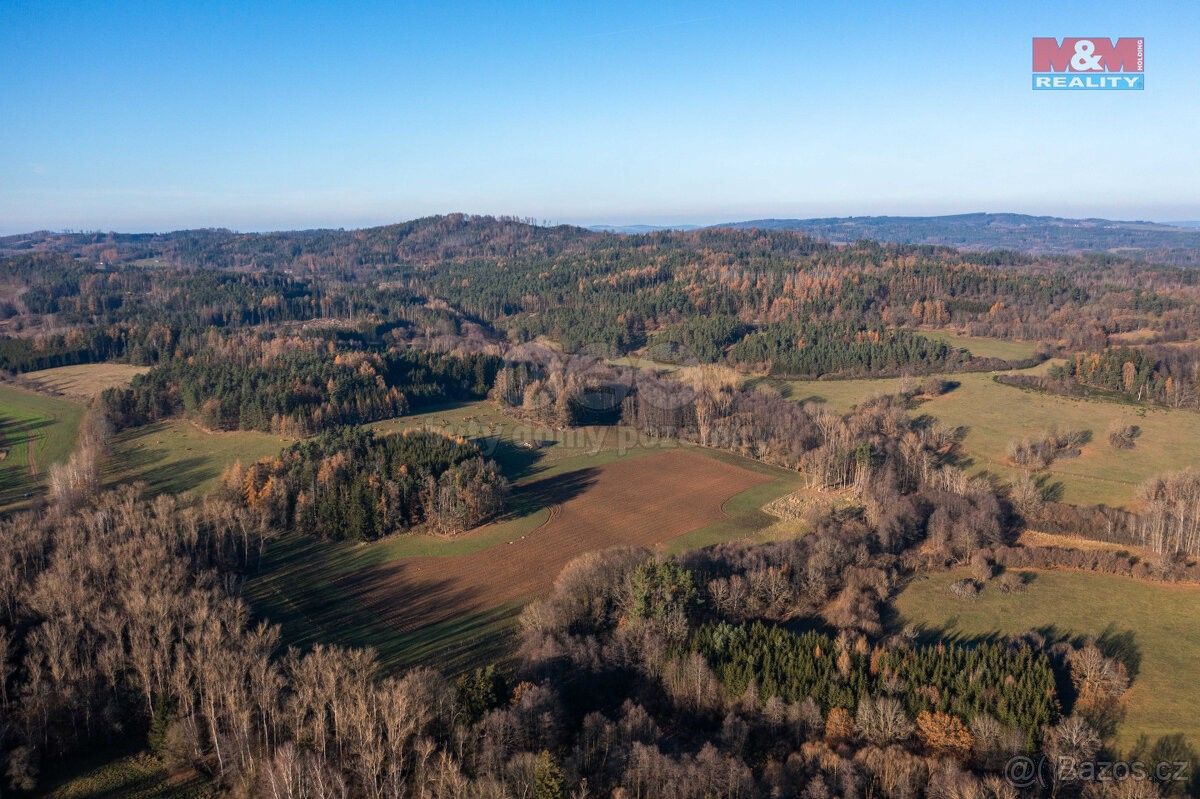 Prodej les - Horažďovice, 341 01, 25 838 m²