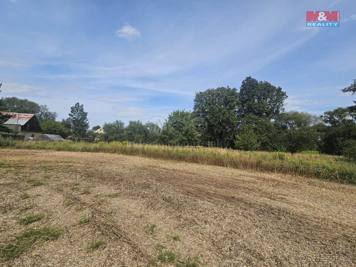 Louky, Krnov, 794 01, 2 362 m²