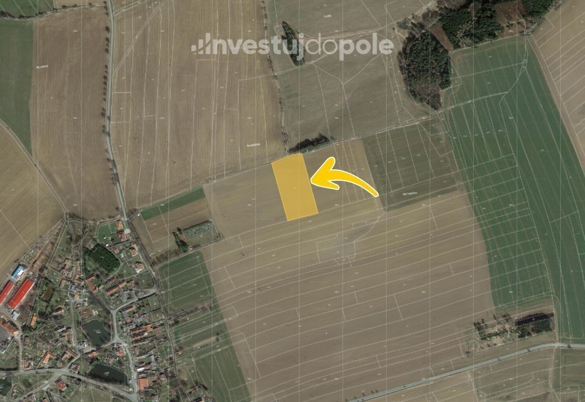 Prodej zemědělský pozemek - Buřenice, 9 951 m²