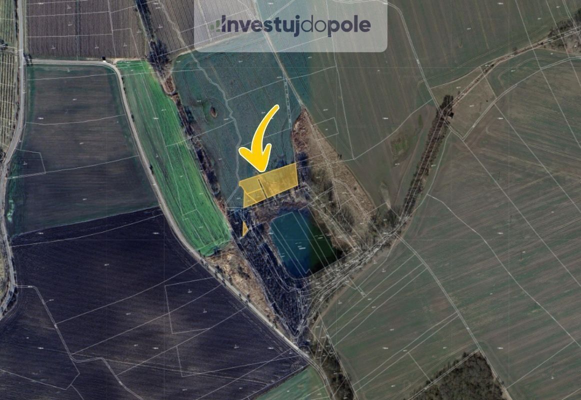 Prodej louka - Soběnice, Liběšice, 3 698 m²