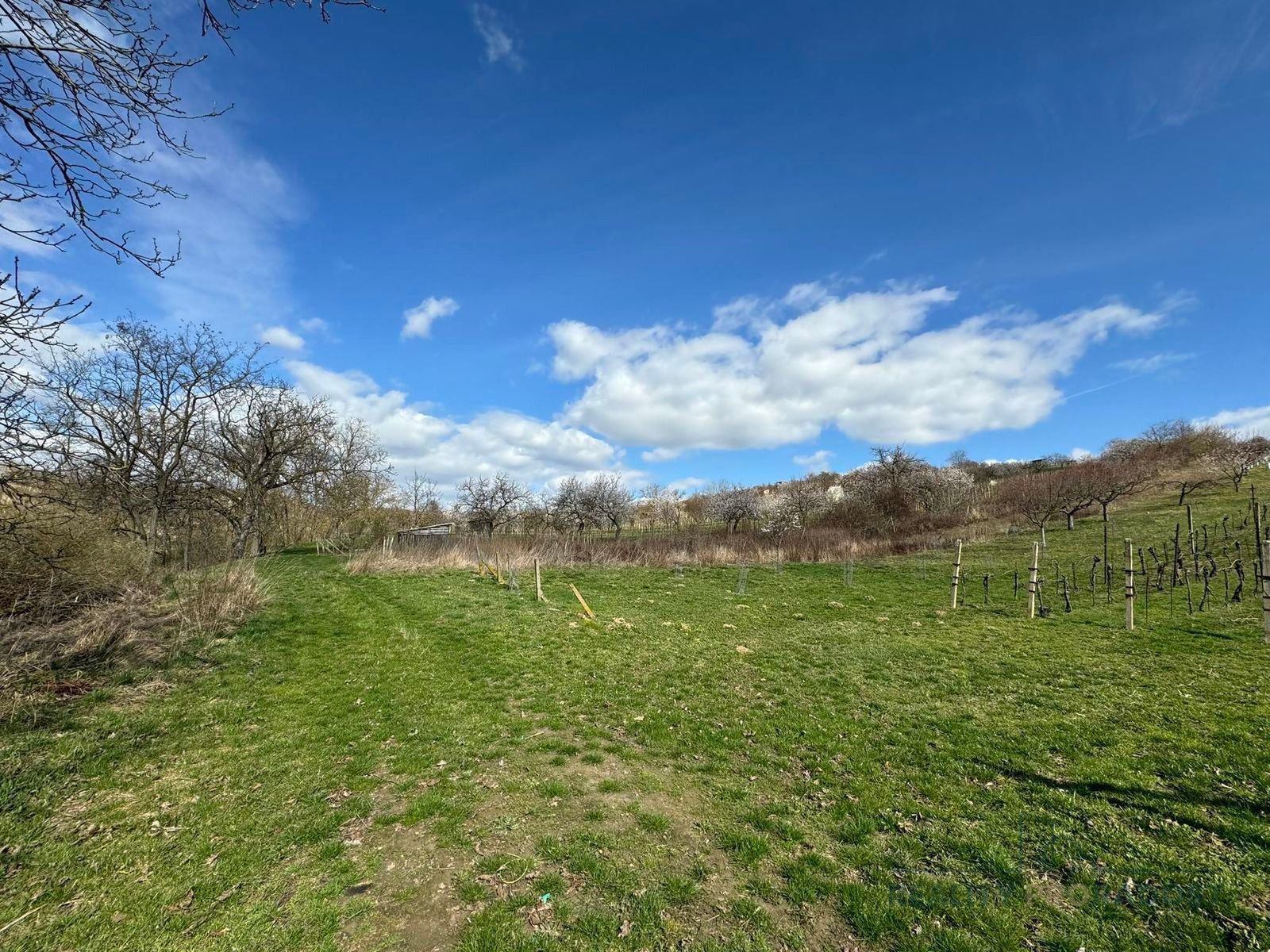 Prodej pozemek - Mutěnice, 1 540 m²