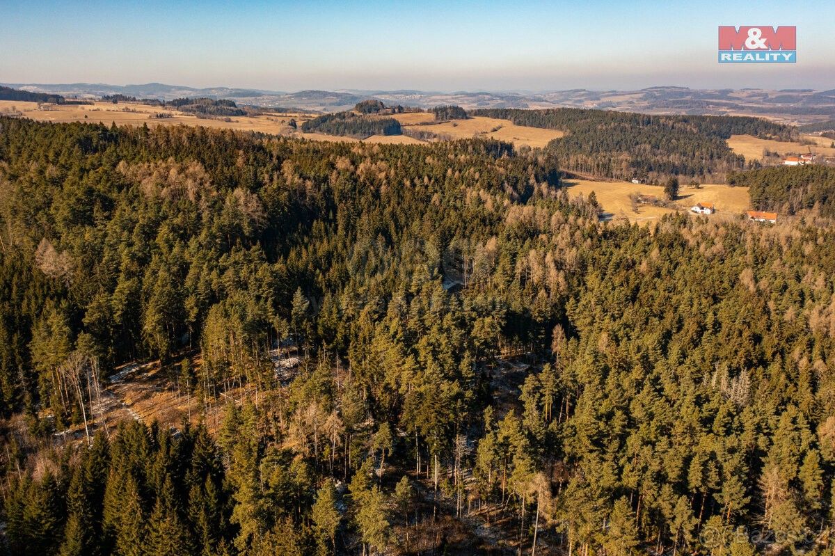 Prodej les - Volyně, 387 01, 4 038 m²