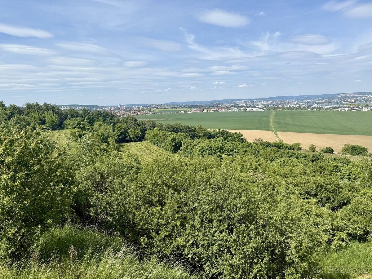 Prodej pozemek - Modřice, 664 42, 53 817 m²