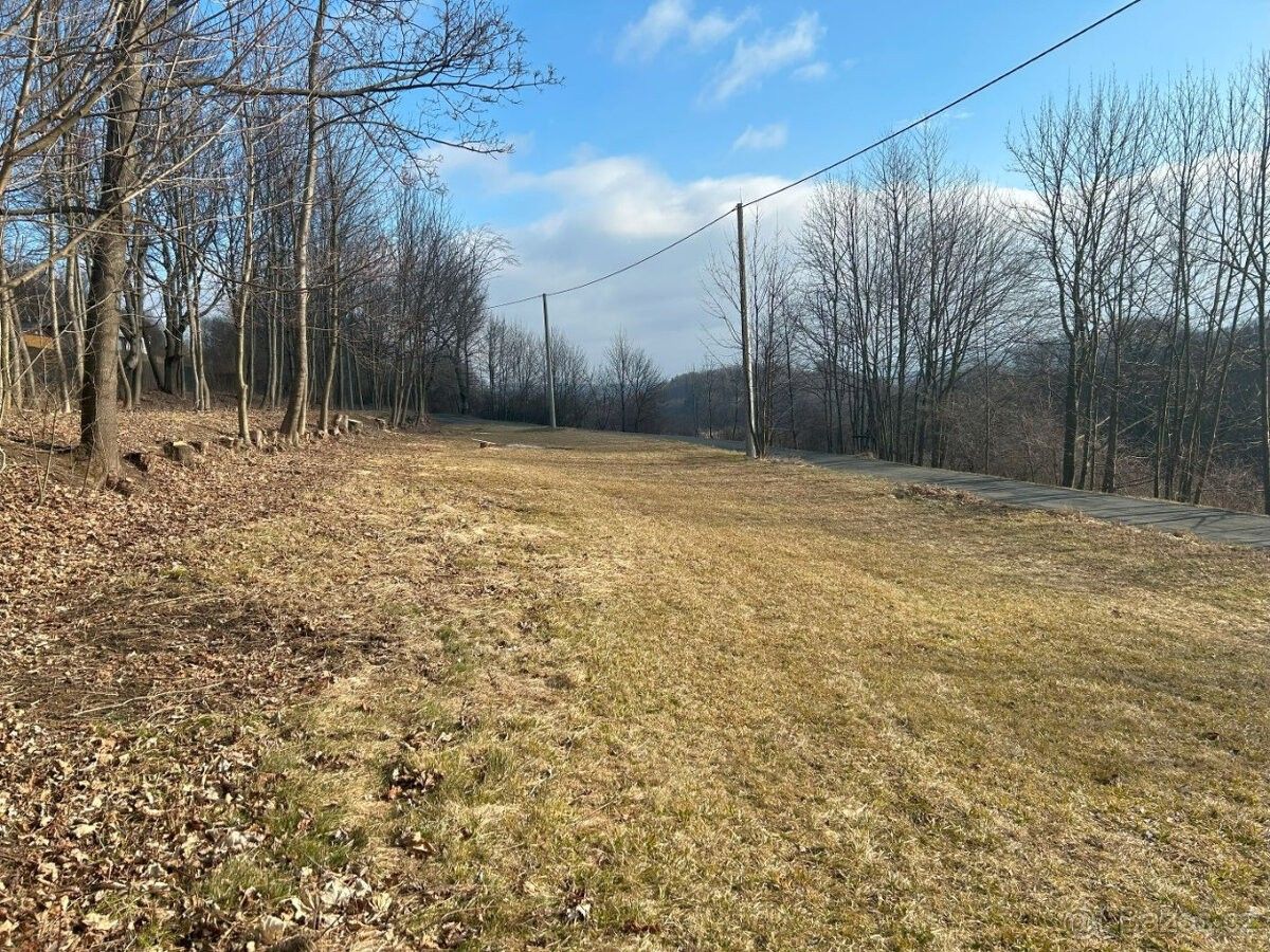 Pozemky pro bydlení, Nový Jičín, 741 01
