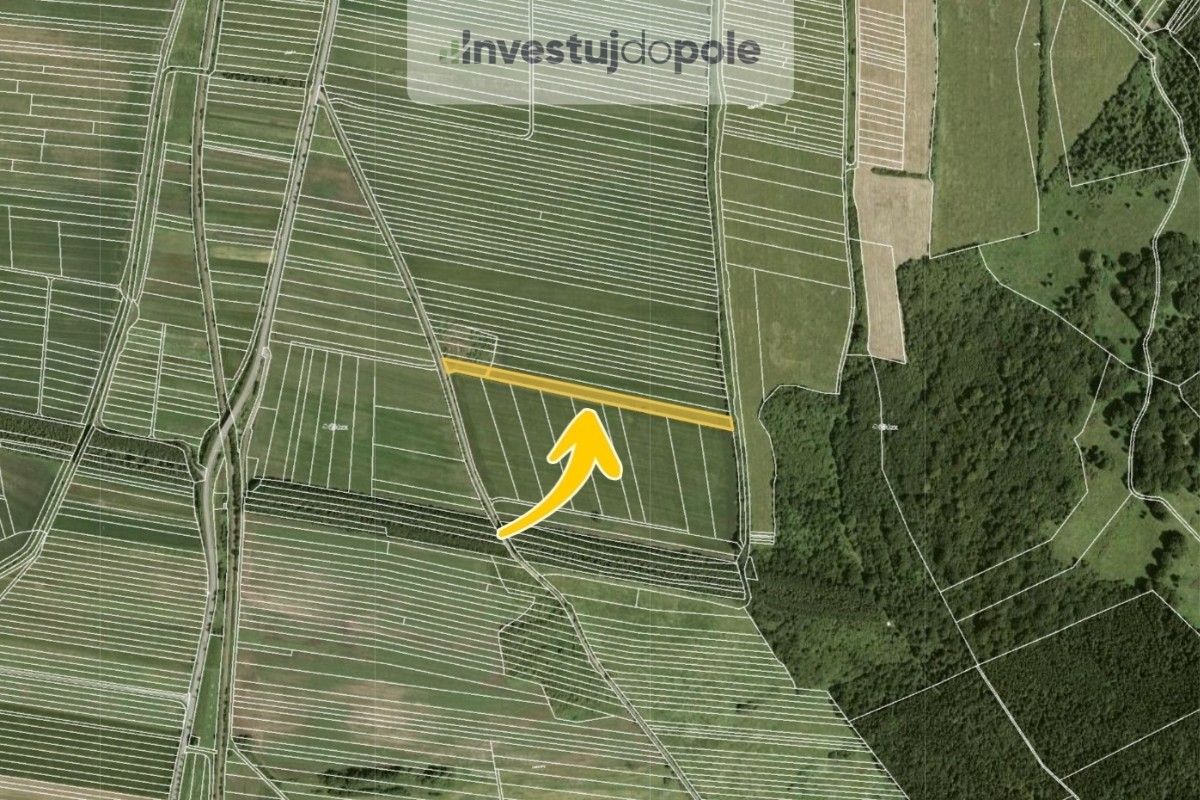 Prodej zemědělský pozemek - Javorník, 6 579 m²