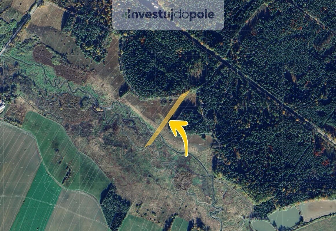 Prodej louka - Jílovice, 3 894 m²