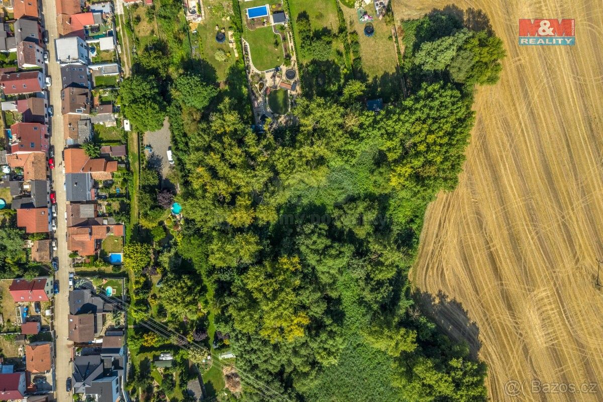 Lesy, Kostelec nad Labem, 277 13, 10 056 m²