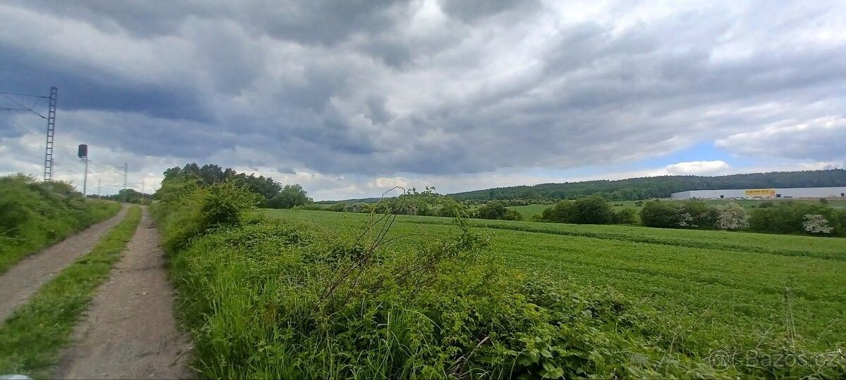 Prodej zemědělský pozemek - Cerhovice, 267 61, 6 116 m²