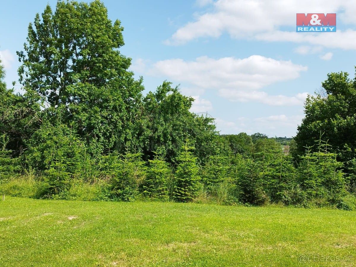 Prodej pozemek - Golčův Jeníkov, 582 82, 3 086 m²