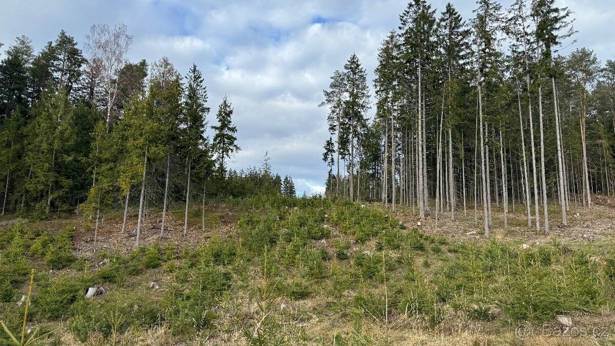 Lesy, Pecka, 507 82, 35 100 m²
