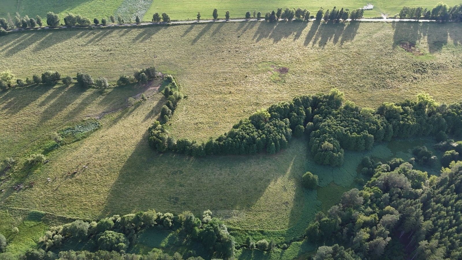 Louky, Rožmitál na Šumavě, 52 665 m²