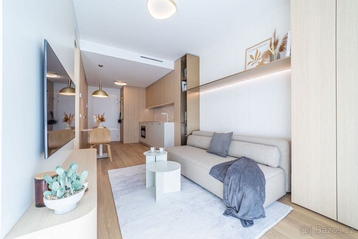 Ostatní, Praha, 100 00, 40 m²