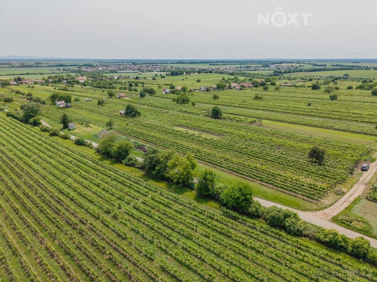 Prodej pozemek pro bydlení - Prušánky, 696 21, 2 318 m²
