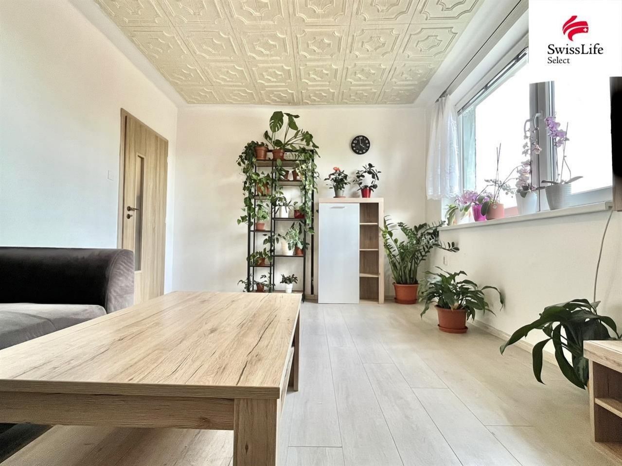 2+1, Křečhoř, 59 m²