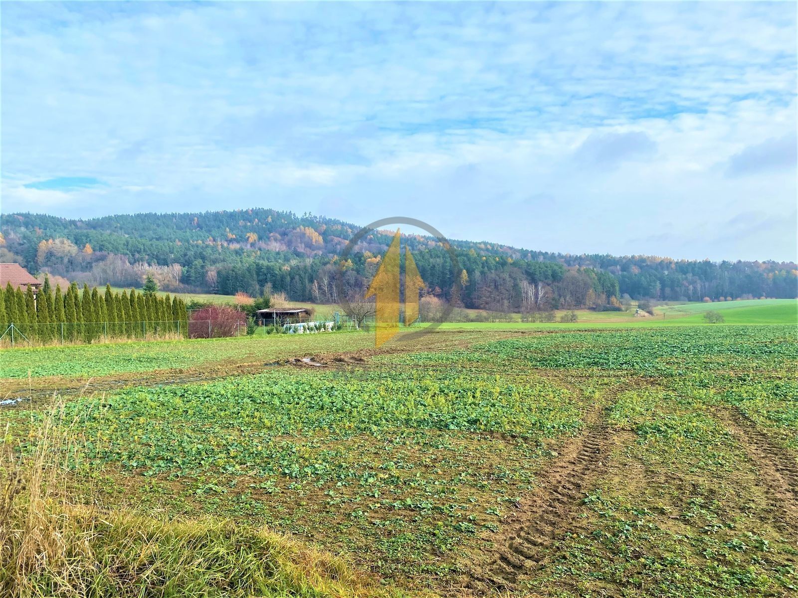 Zemědělské pozemky, Prachov, Holín, 9 316 m²