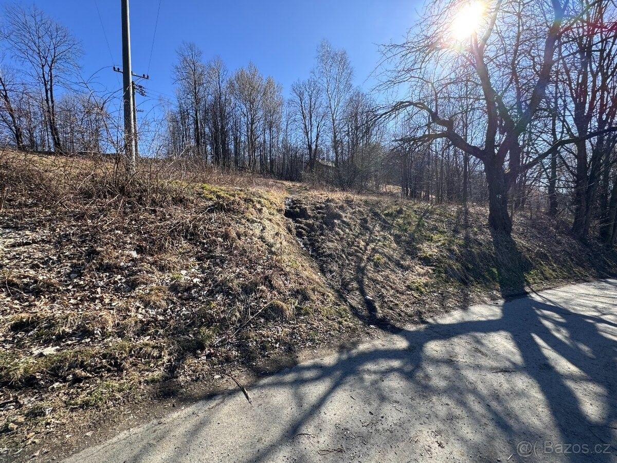 Prodej pozemek pro bydlení - Zlaté Hory v Jeseníkách, 793 76, 5 589 m²