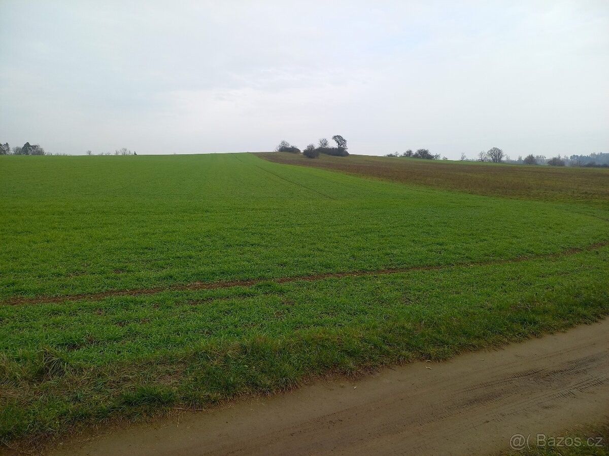 Pozemky pro bydlení, Náměšť nad Oslavou, 675 71, 6 983 m²