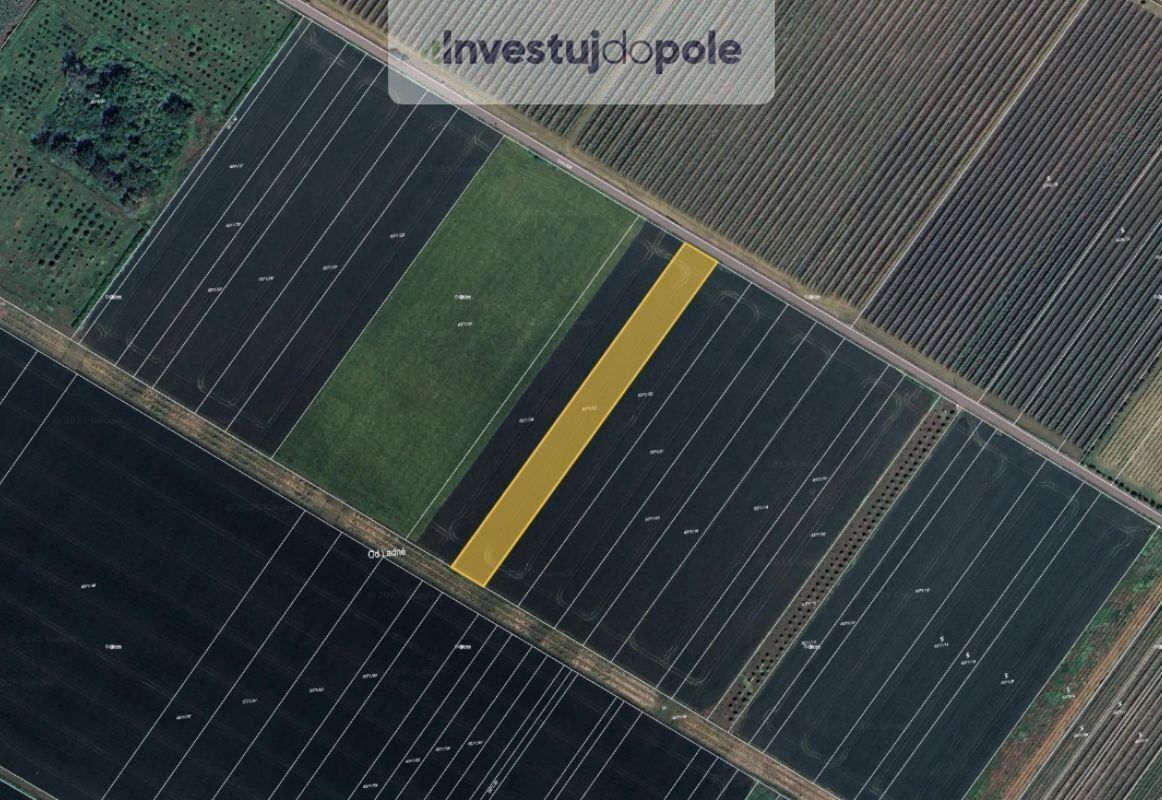 Zemědělské pozemky, Velké Bílovice, 10 727 m²