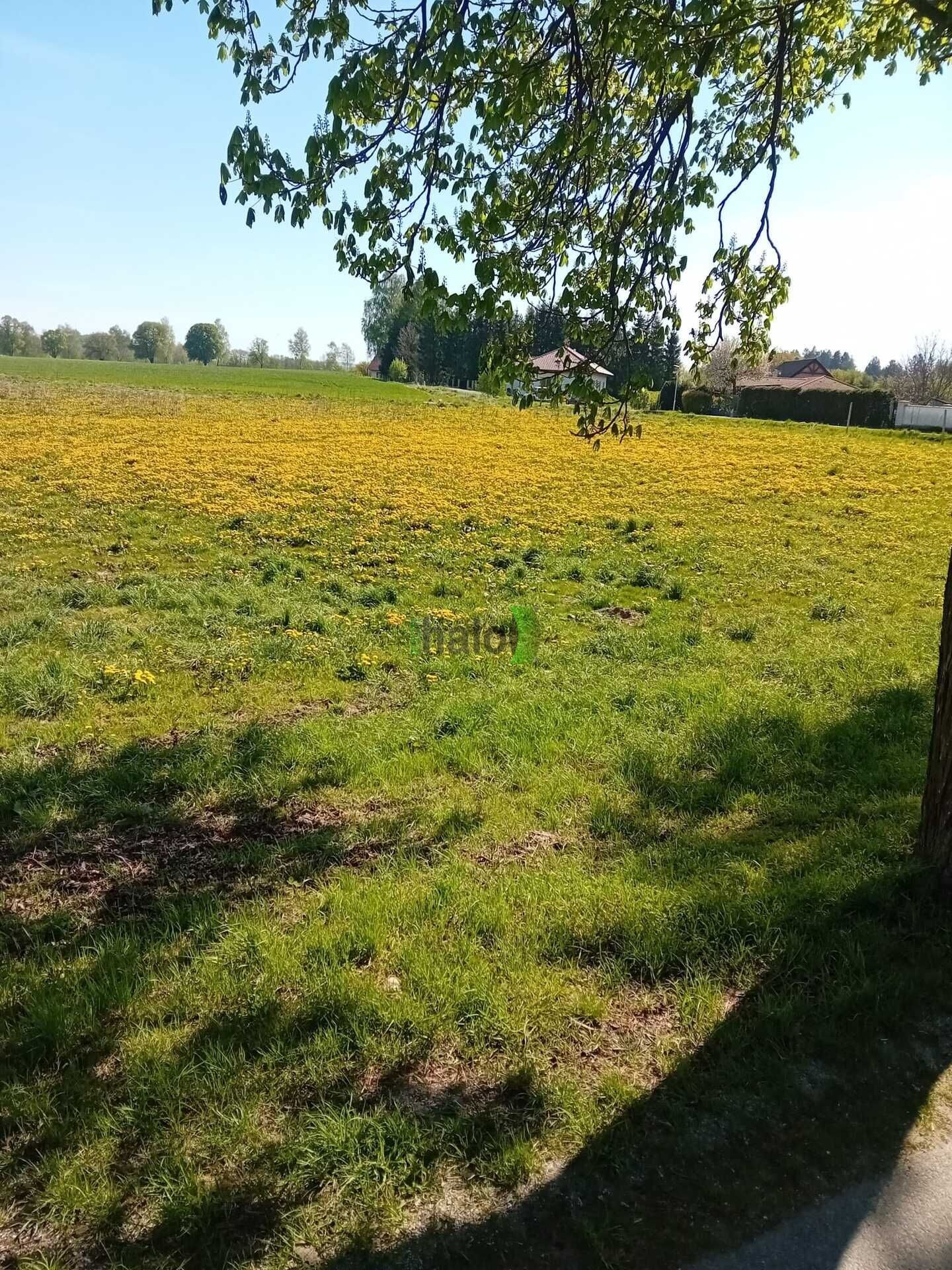 Prodej pozemek pro bydlení - Popelín, 1 443 m²