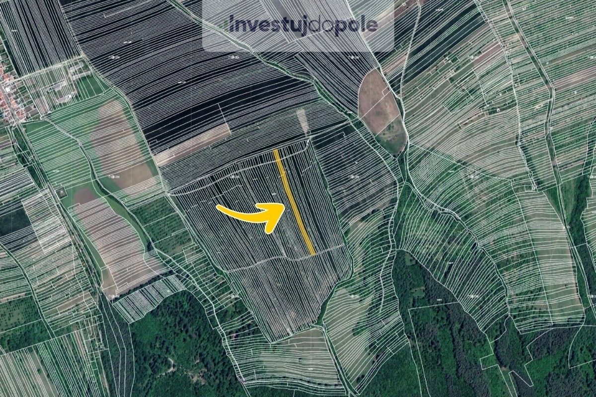 Prodej louka - Kněždub, 1 208 m²