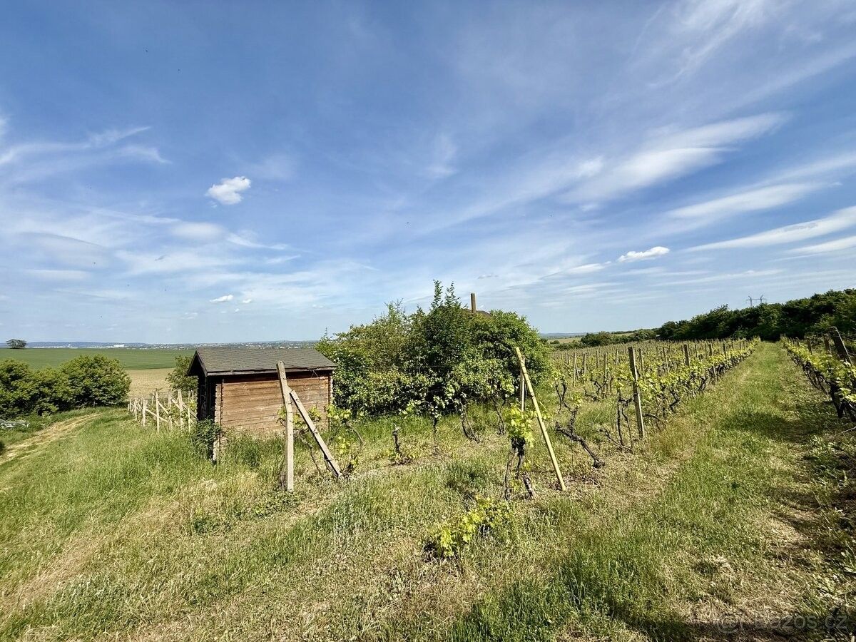 Ostatní, Modřice, 664 42, 53 817 m²
