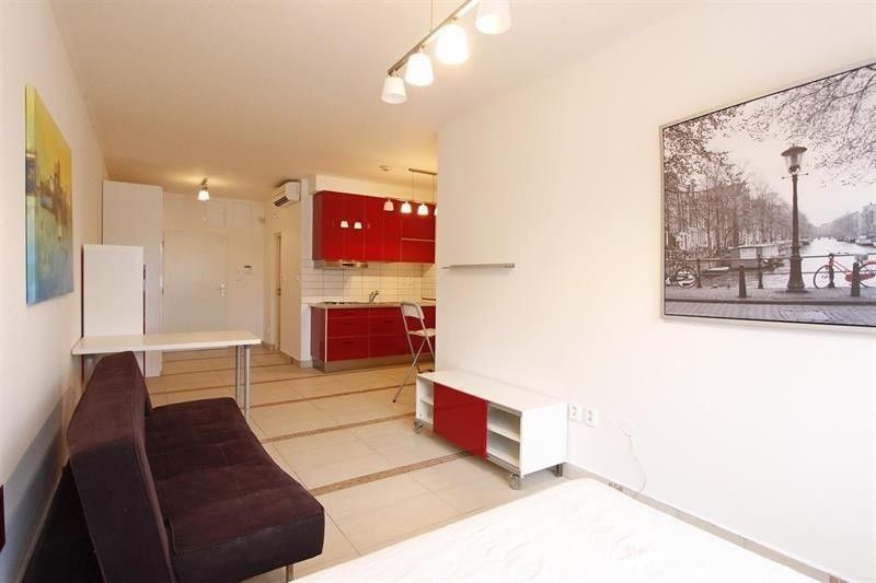 1+kk, Rybnická, Brno, 31 m²